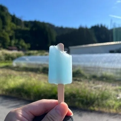 講師の石川侑輝氏