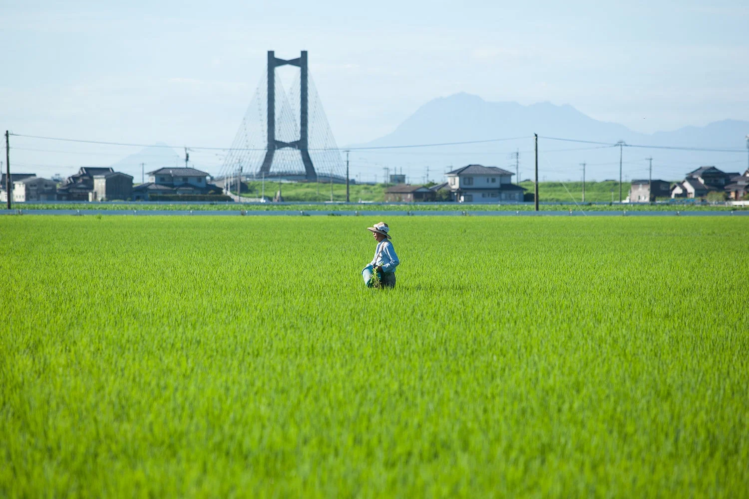 江北町の田園風景と橋