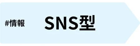 情報SNS型