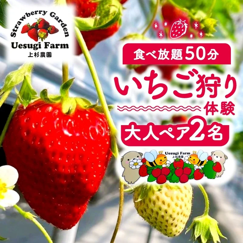 上杉農園のいちご狩り体験