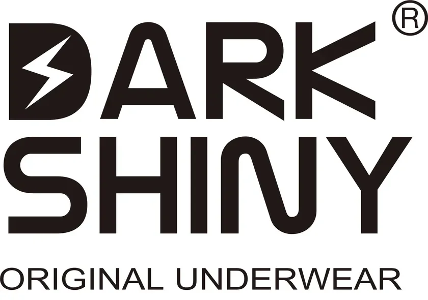 DARK SHINY(ダークシャイニー)ロゴ