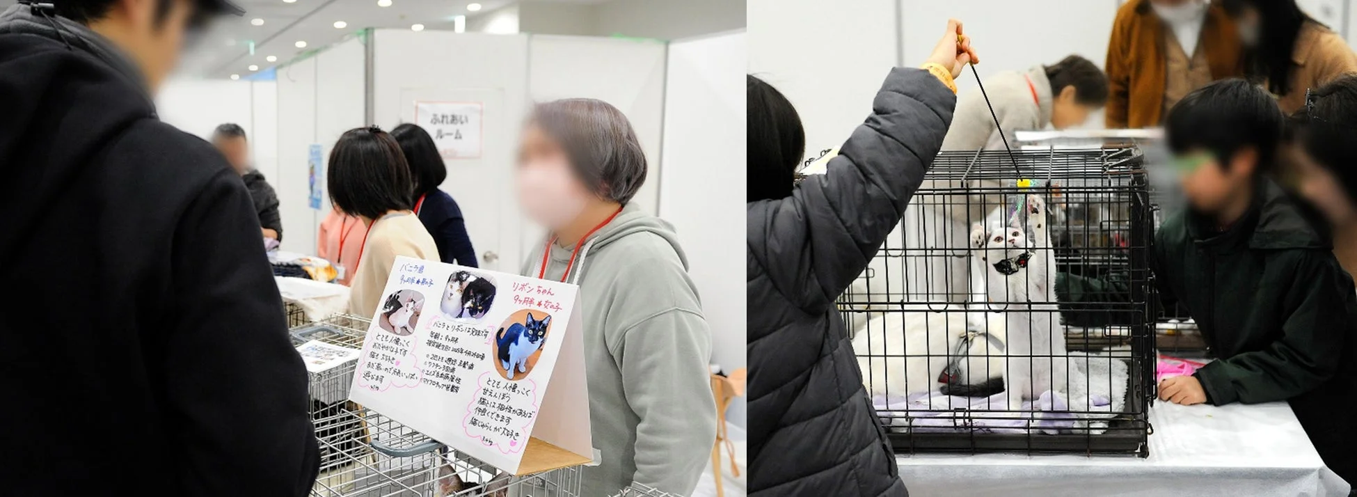 猫とのふれあいの様子