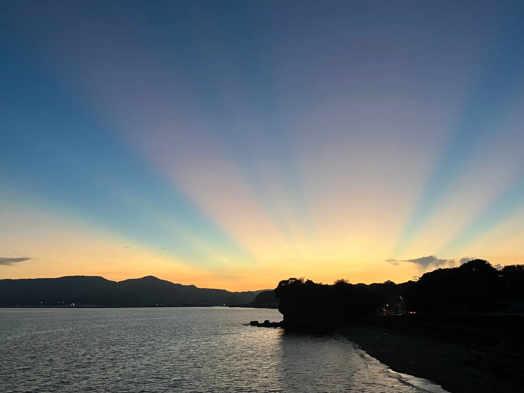 特別賞（スマホ撮影）