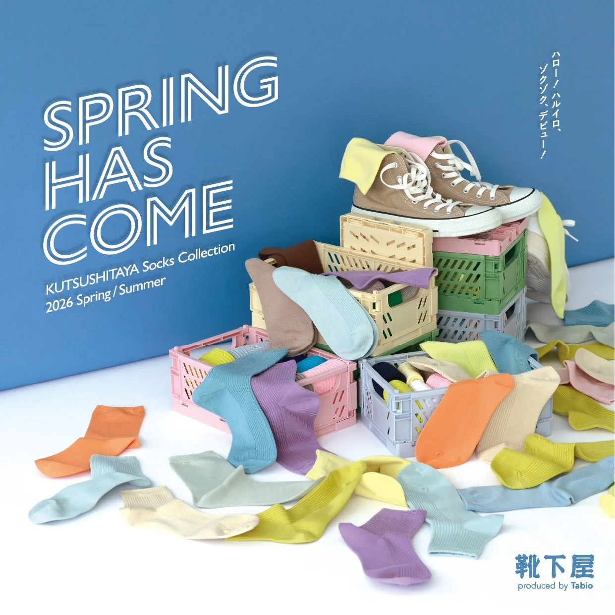 靴下屋ソックス