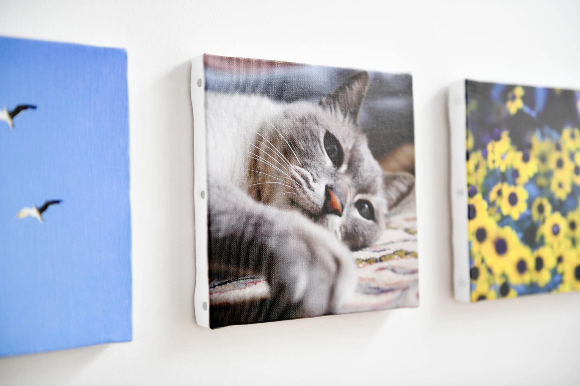 壁に飾られたキャンバスプリント