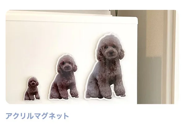 アクリルマグネット（プードル）