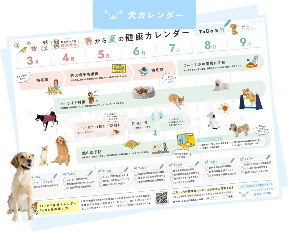 犬カレンダー 春から夏の健康カレンダー ToDo版