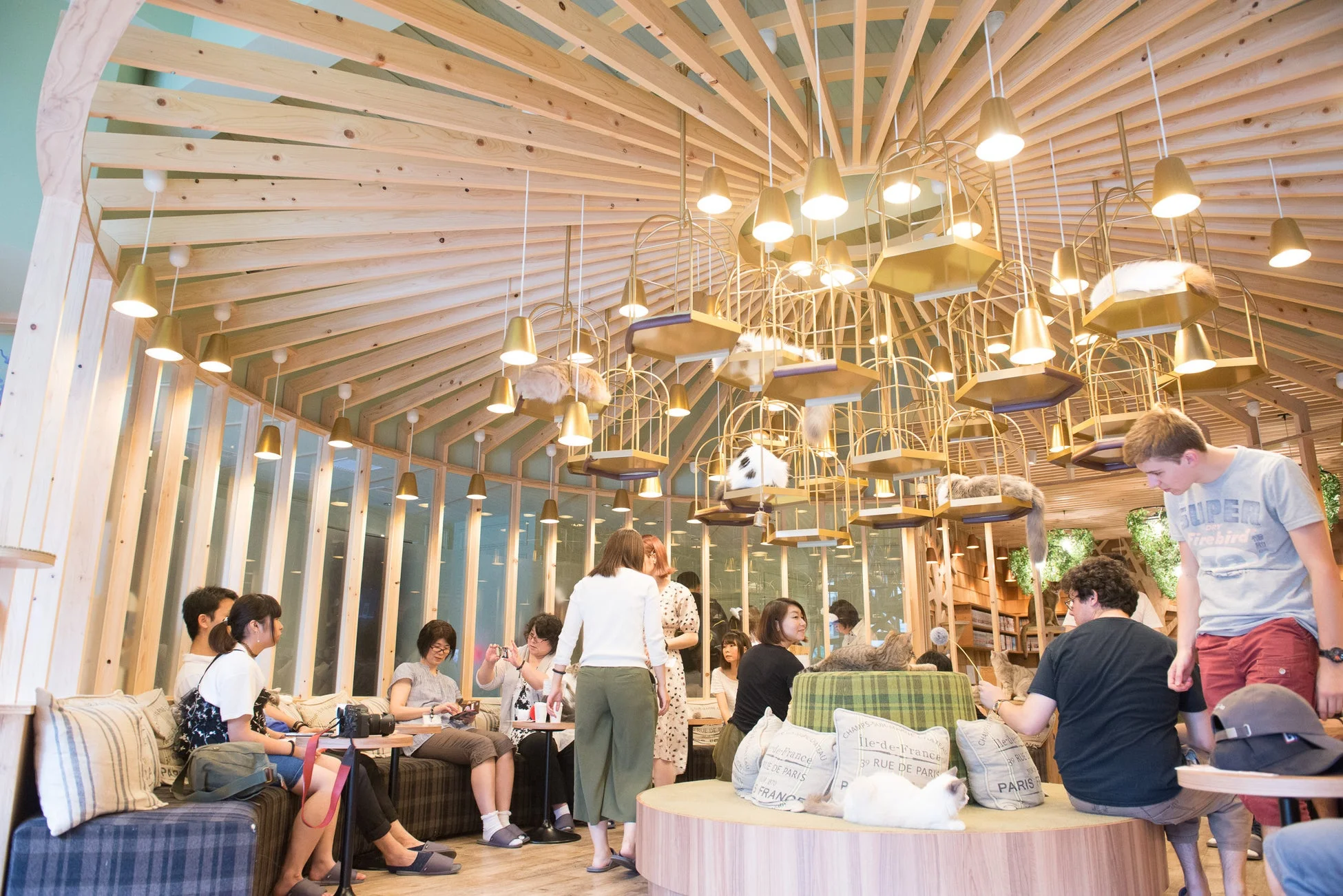 猫カフェMOCHAのモダンな内装