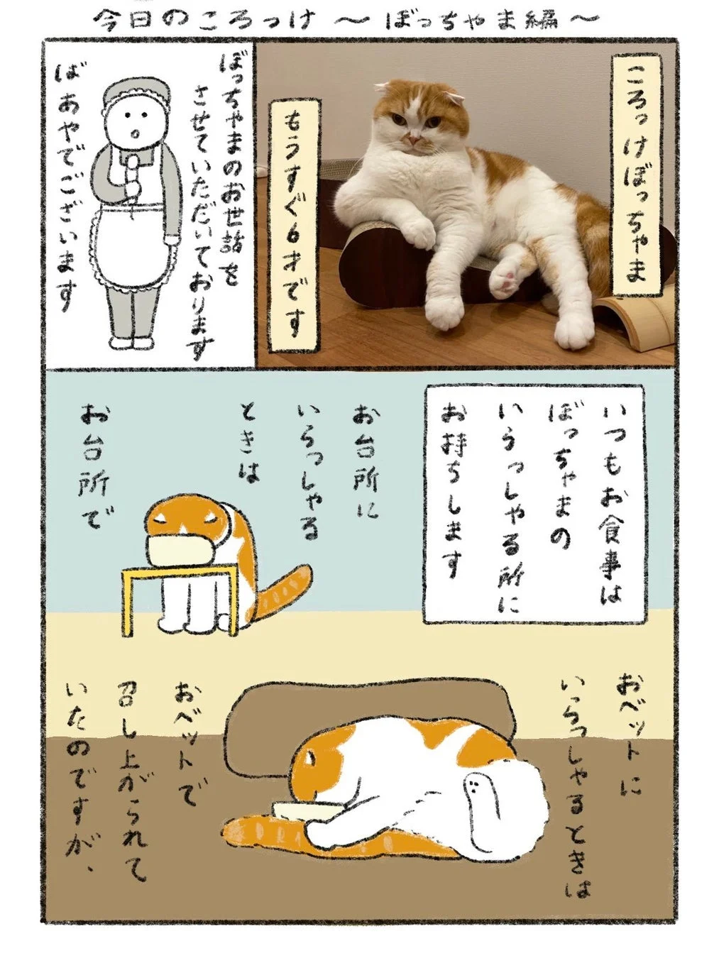 今日のころっけ 〜ぼっちゃま編〜