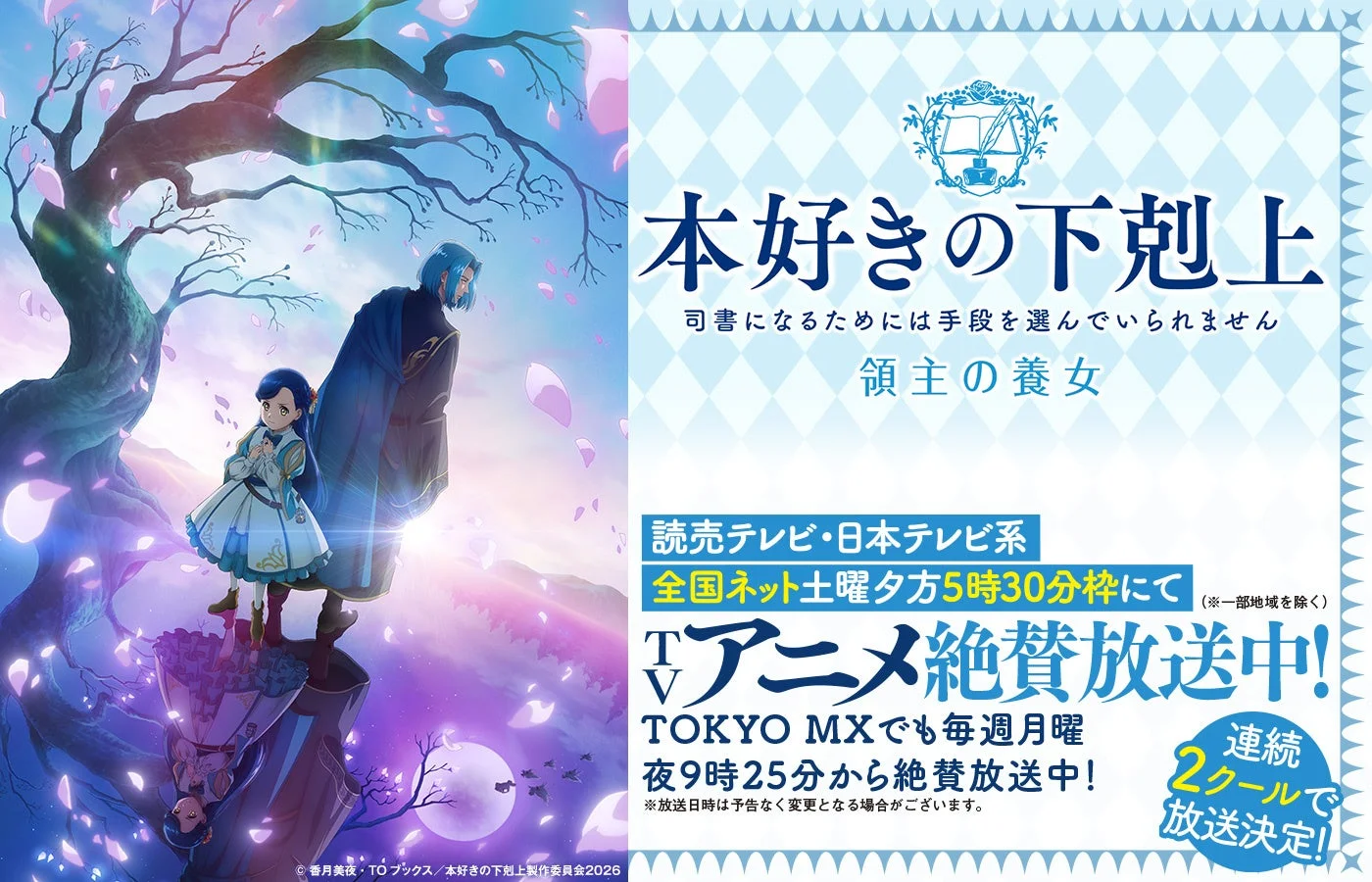 TVアニメビジュアル