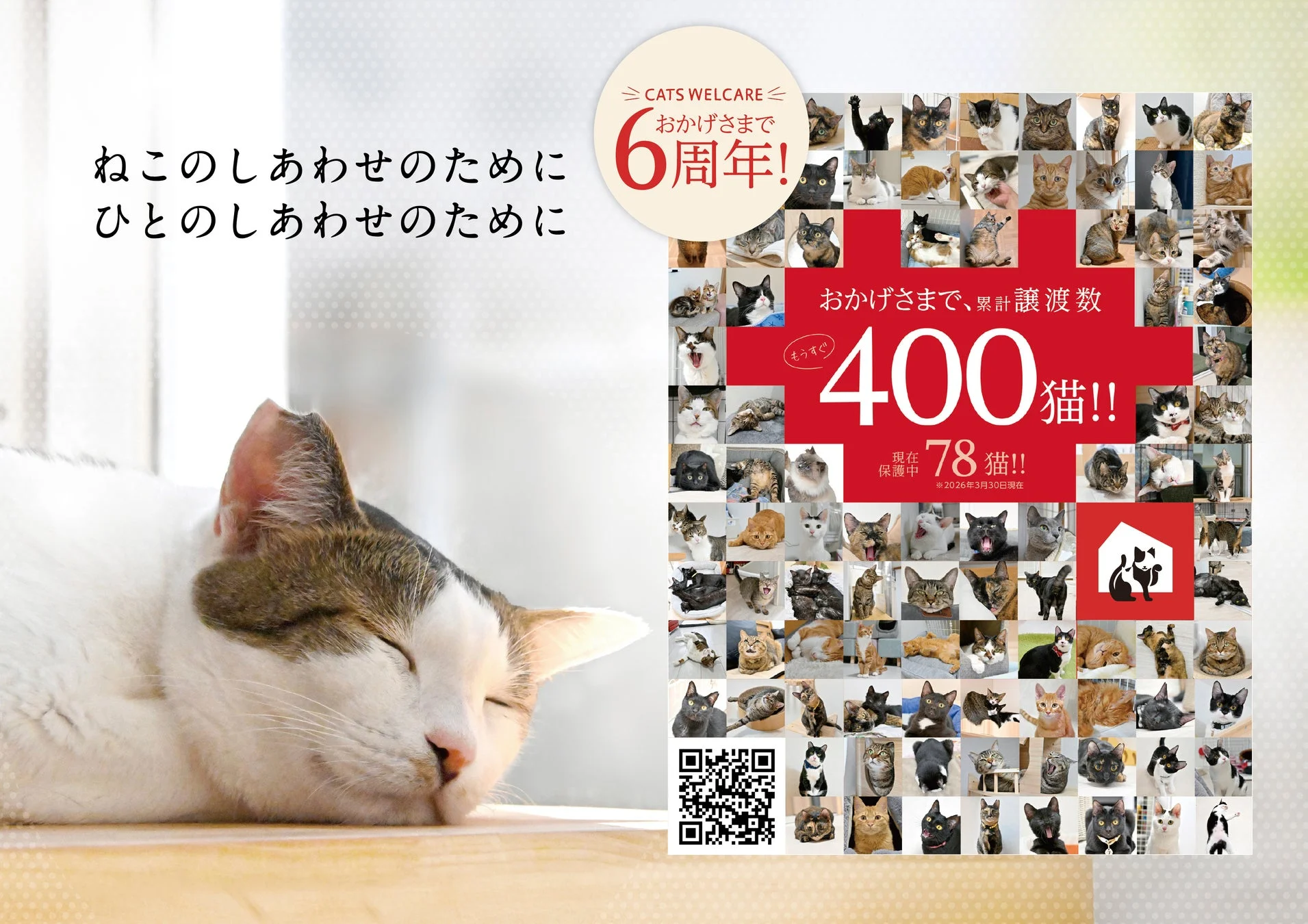 ねこのしあわせのために ひとりのしあわせのために