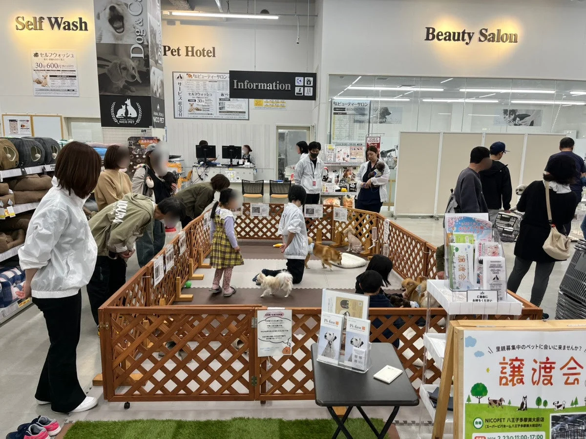 過去の譲渡会の様子2