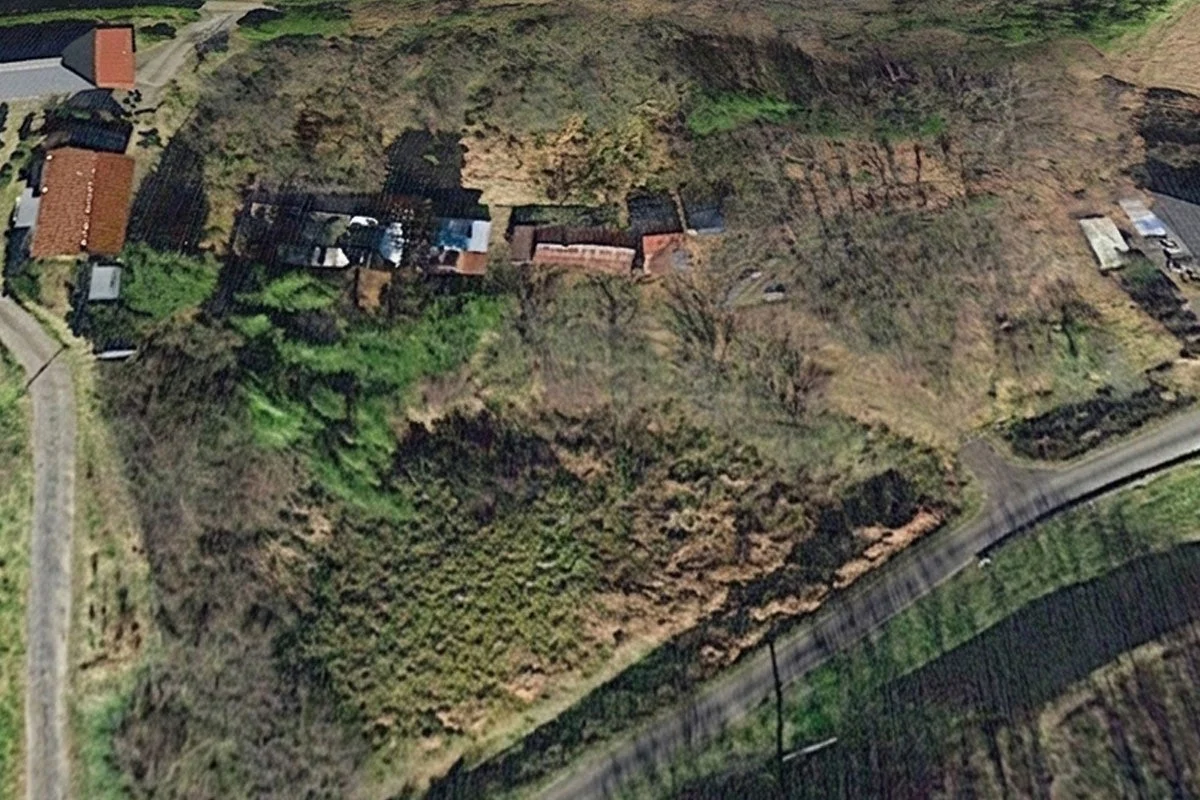 空撮された住宅と自然が混在する地域の画像