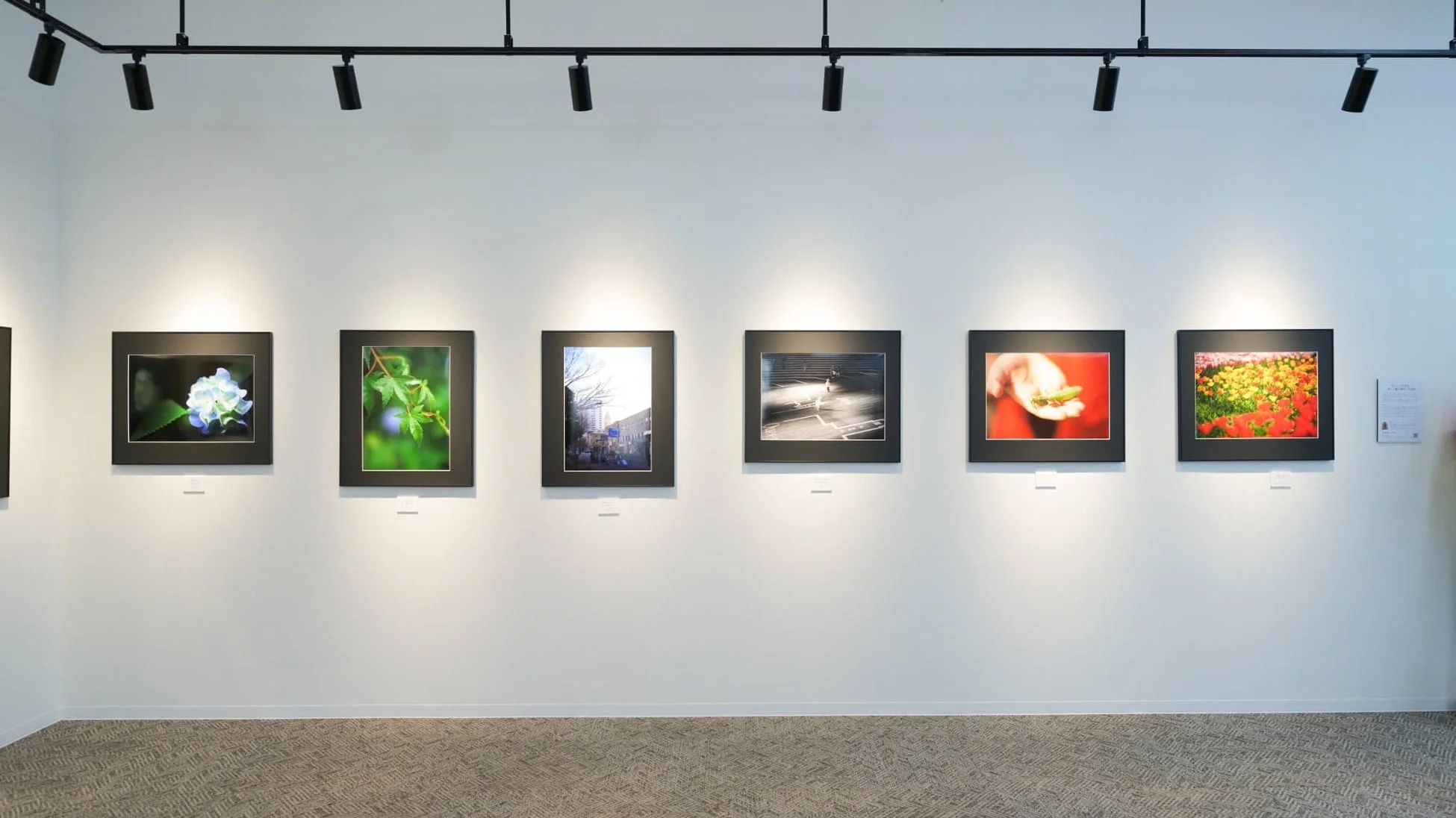 フォトギャラリーの様子