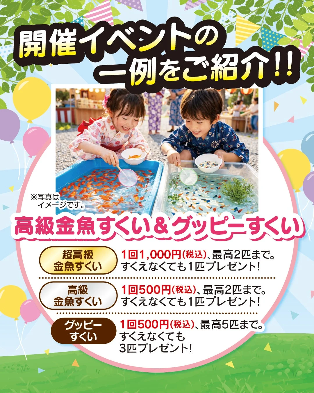 高級金魚すくい&グッピーすくい