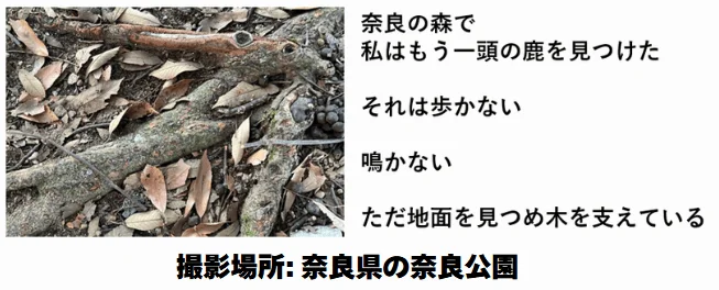 木の根と落ち葉のクローズアップ画像