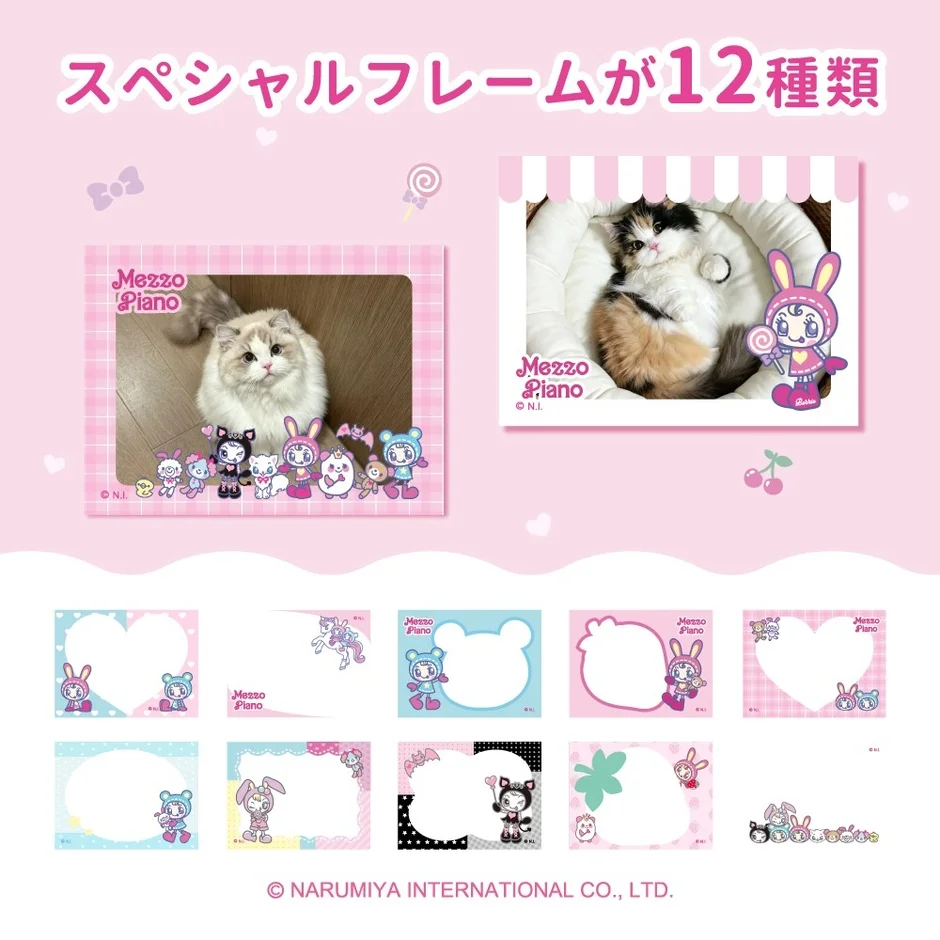 スペシャルフレームが12種類