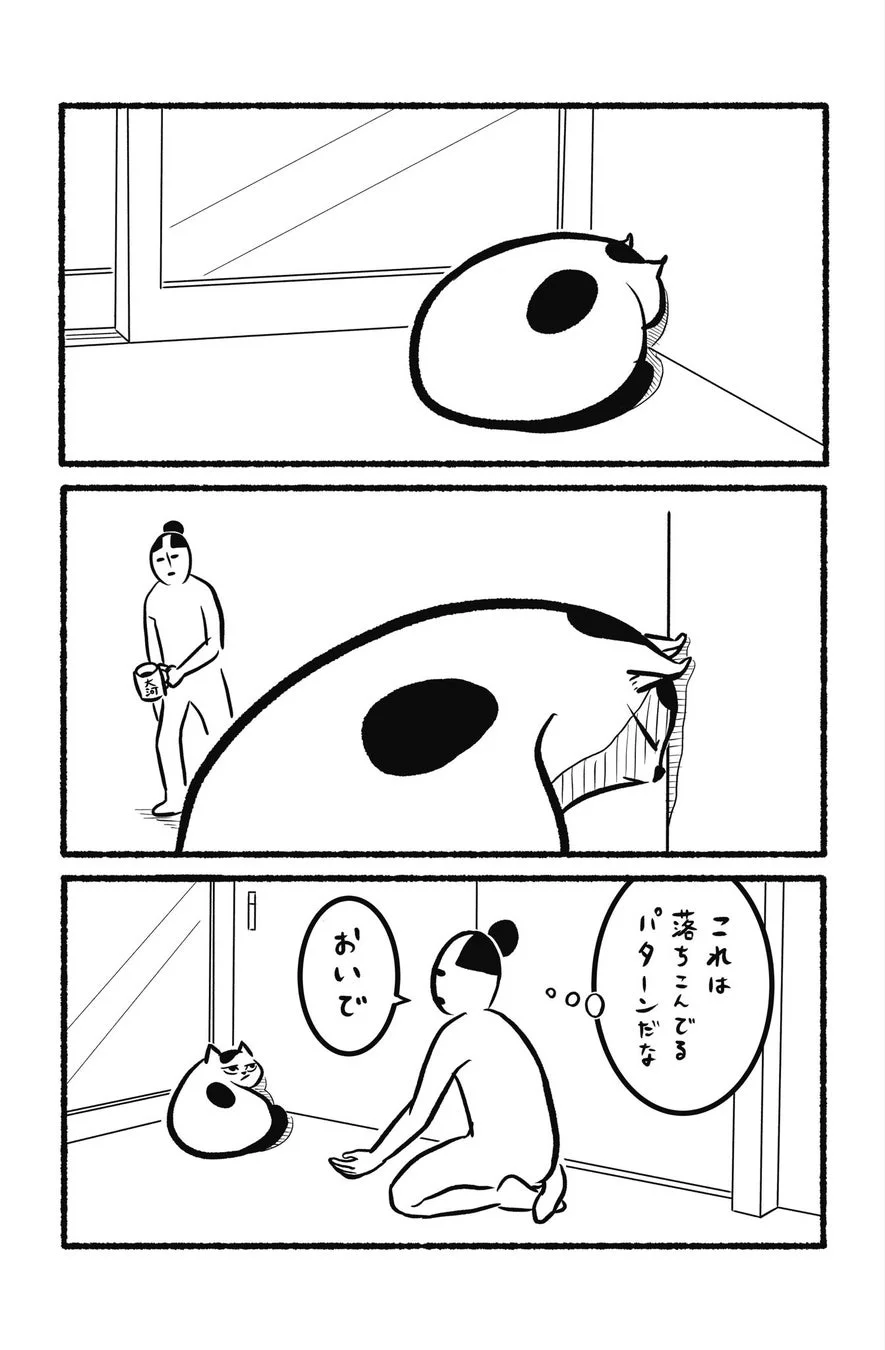 ぺしゃり気味おキャット様