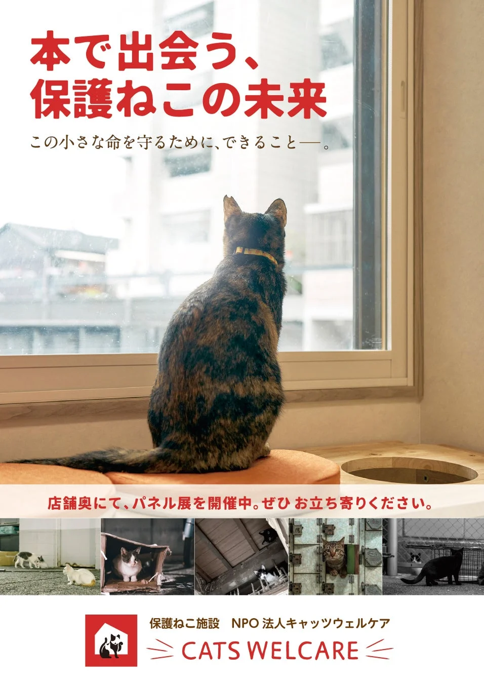 本で出会う、保護ねこの未来