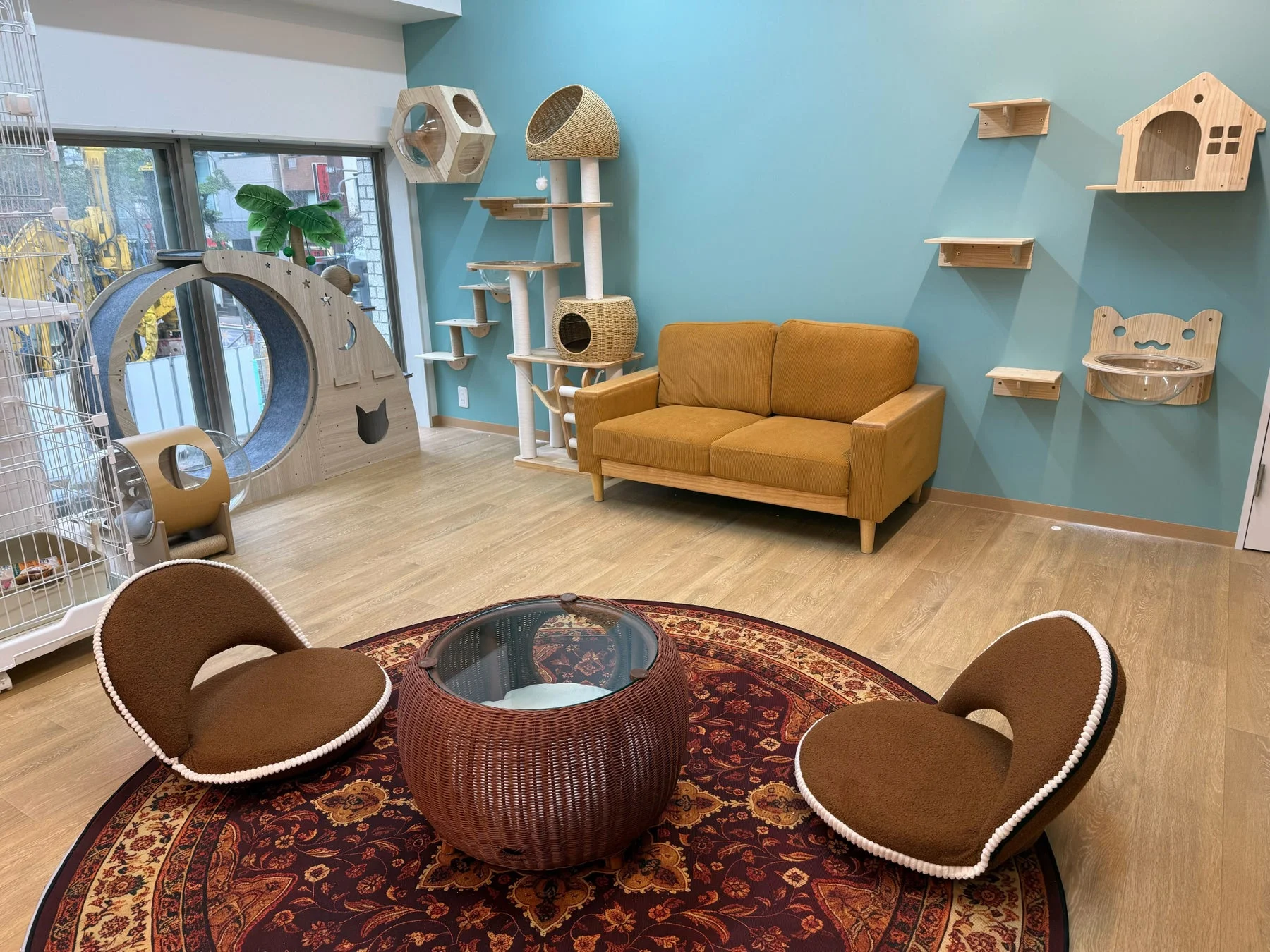 猫のための充実した空間