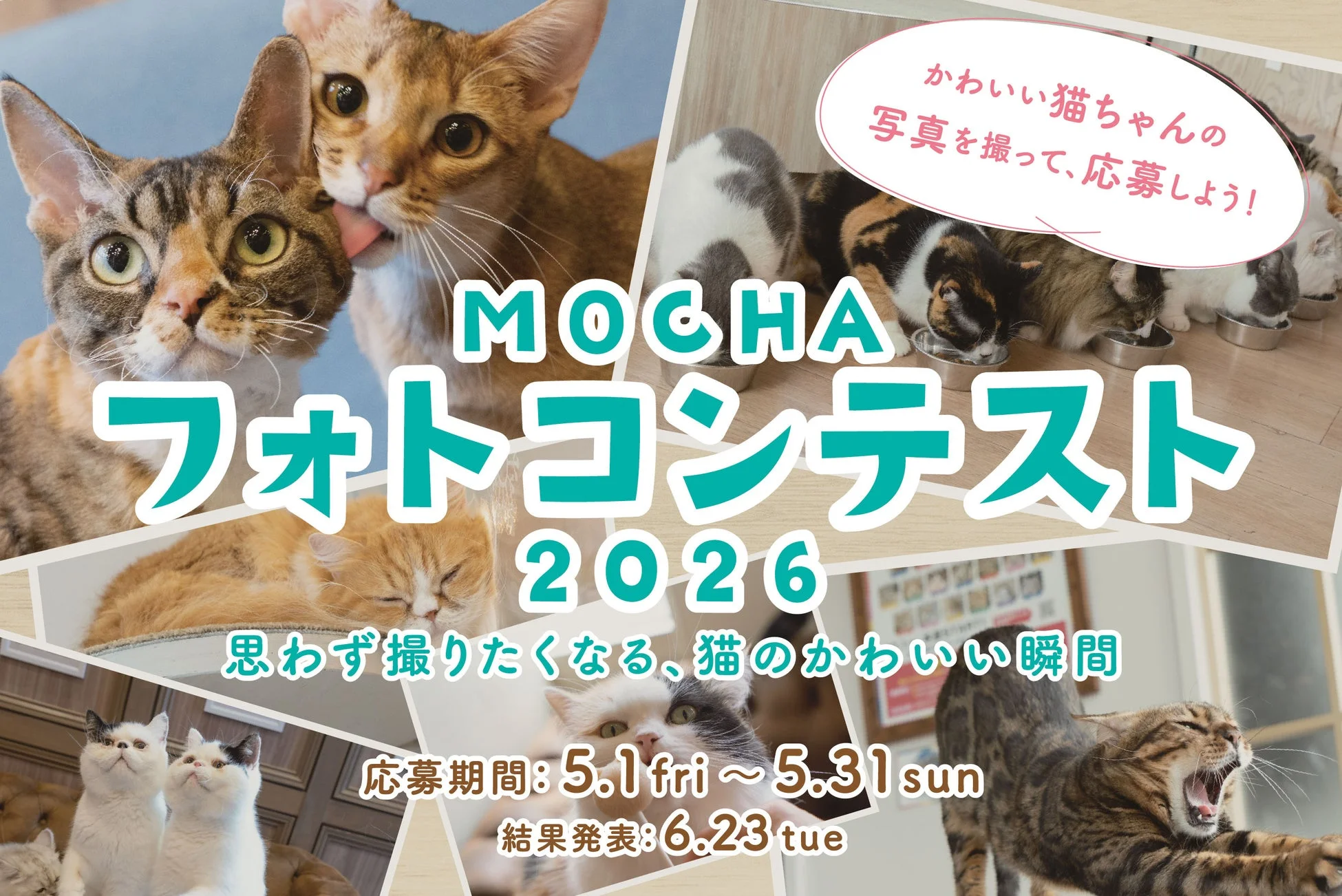 MOCHAフォトコンテスト2026