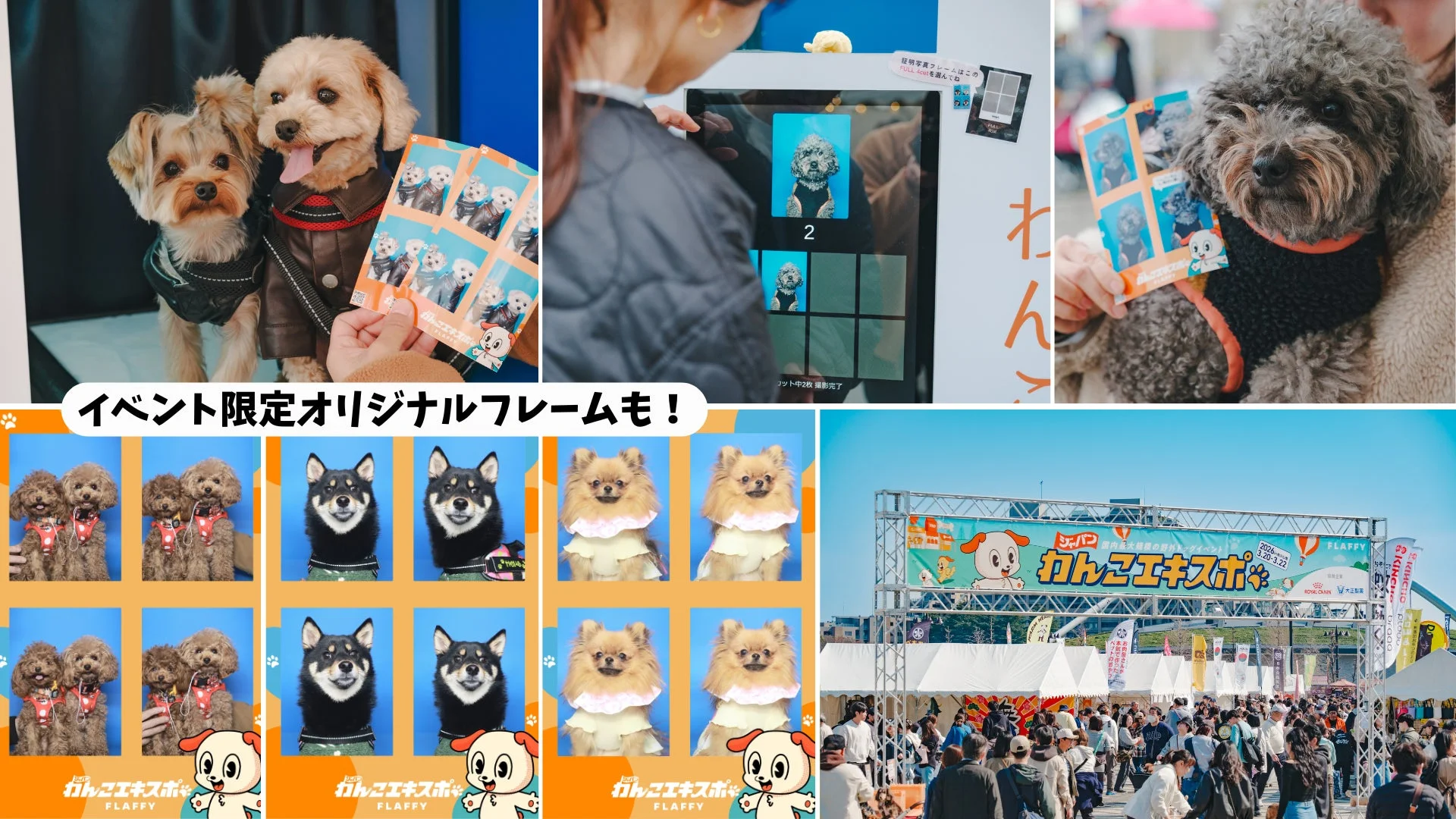 ジャパンわんこエキスポでの様子