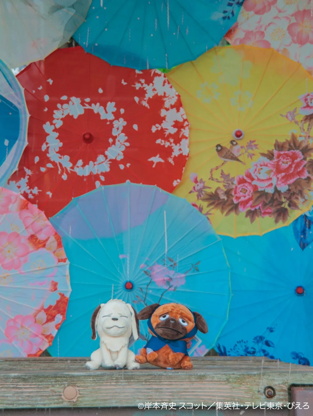 和傘イルミネーション