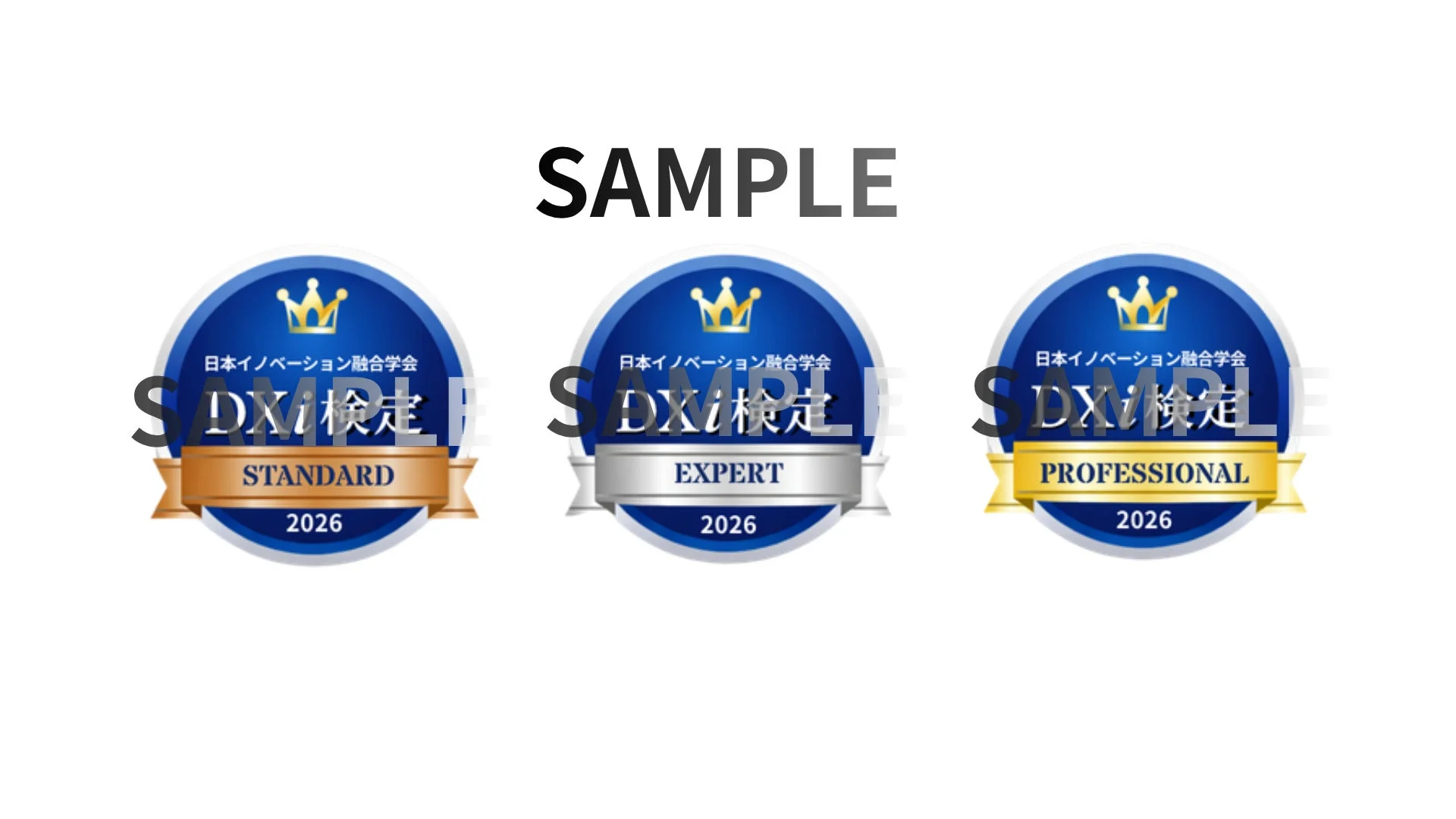 DXi検定オープンバッジ