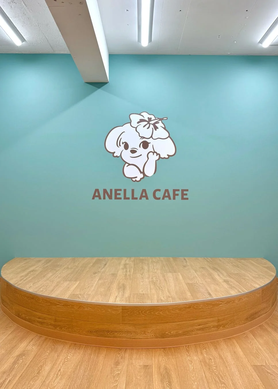 ANELLA CAFEのカフェ内装