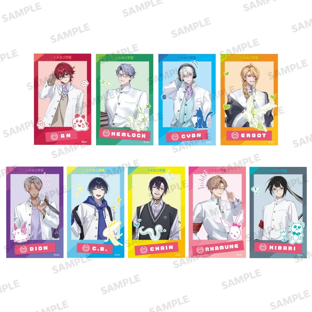 ランダムチェキ風カード