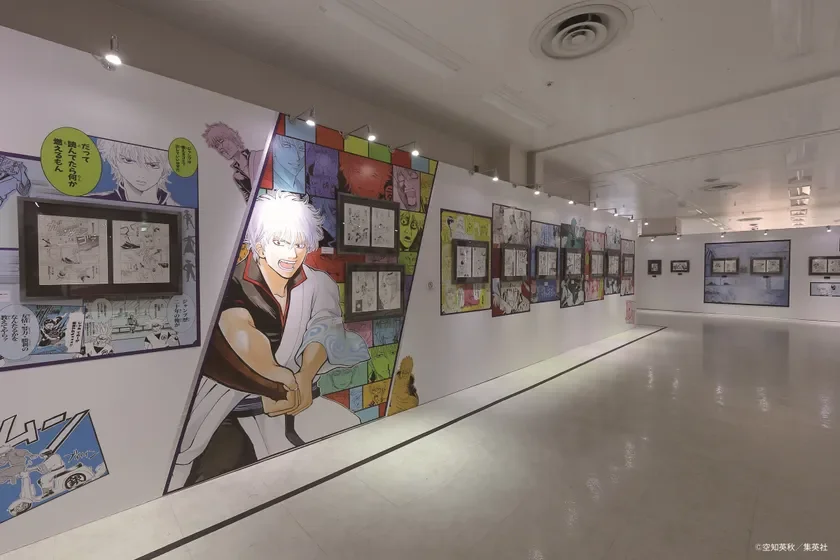 展示エリア紹介：第一位 ～天然パーマに悪い奴はいない～