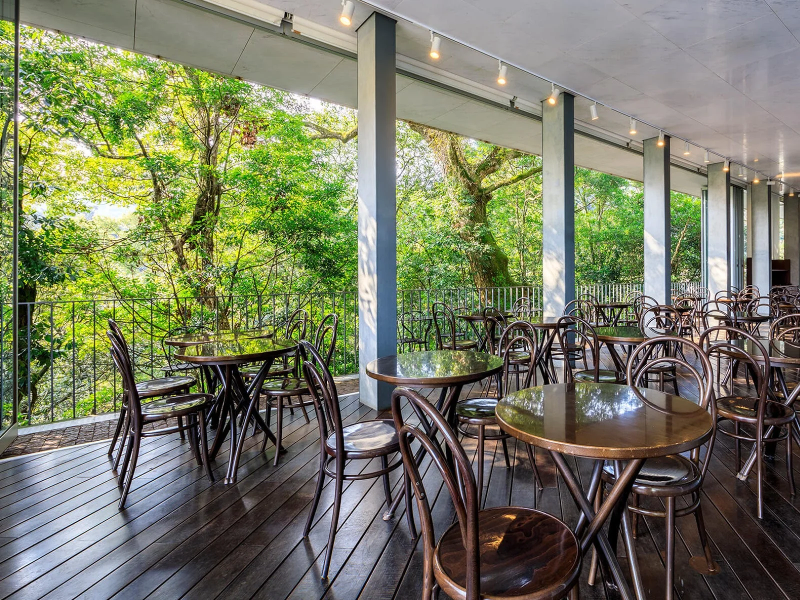 森に面したテラス席