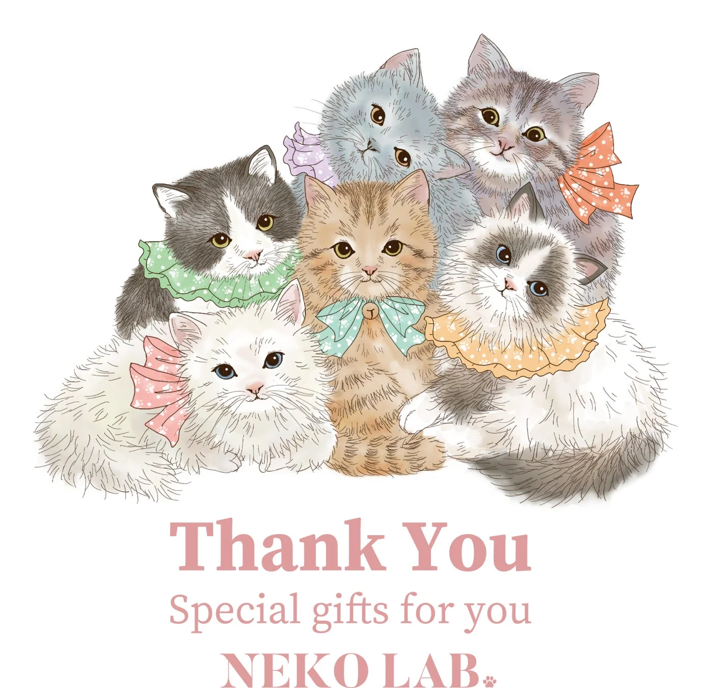 感謝の気持ちを込めて