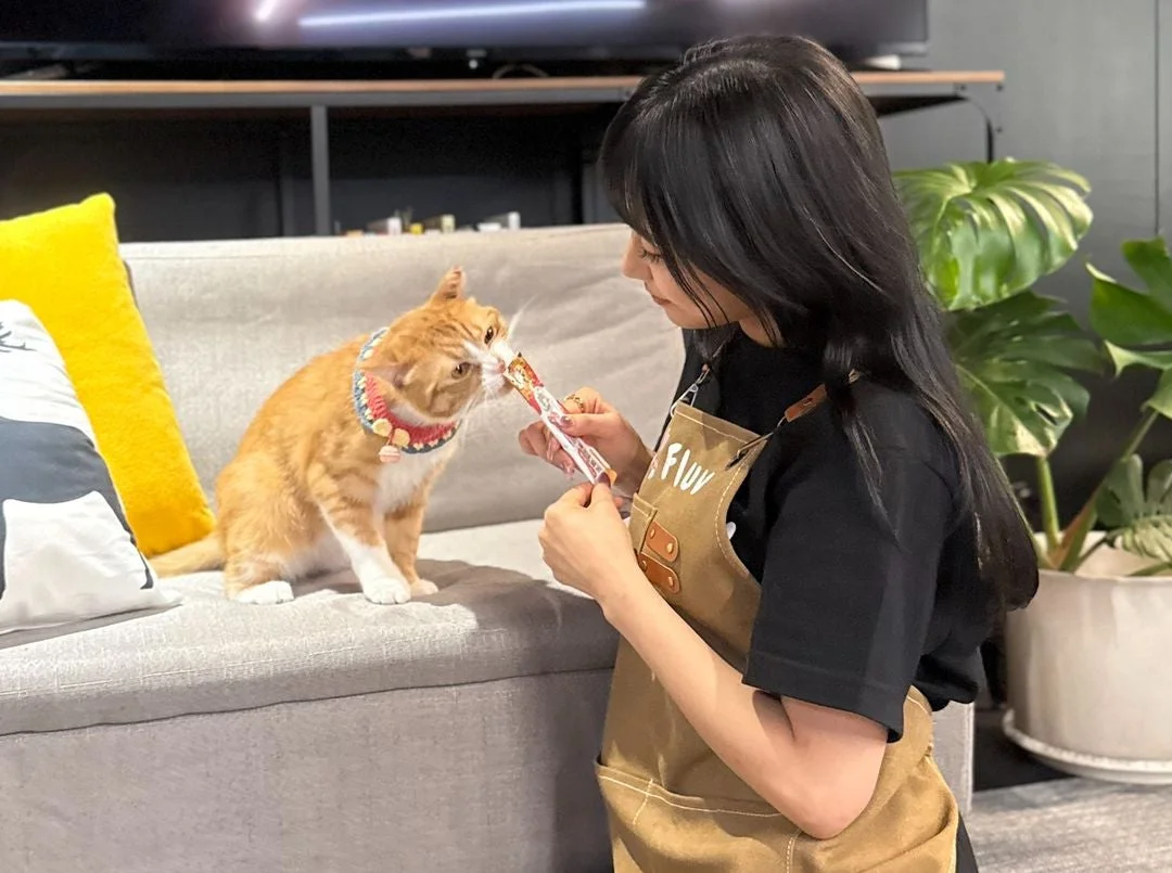 女性が猫におやつを与えている様子