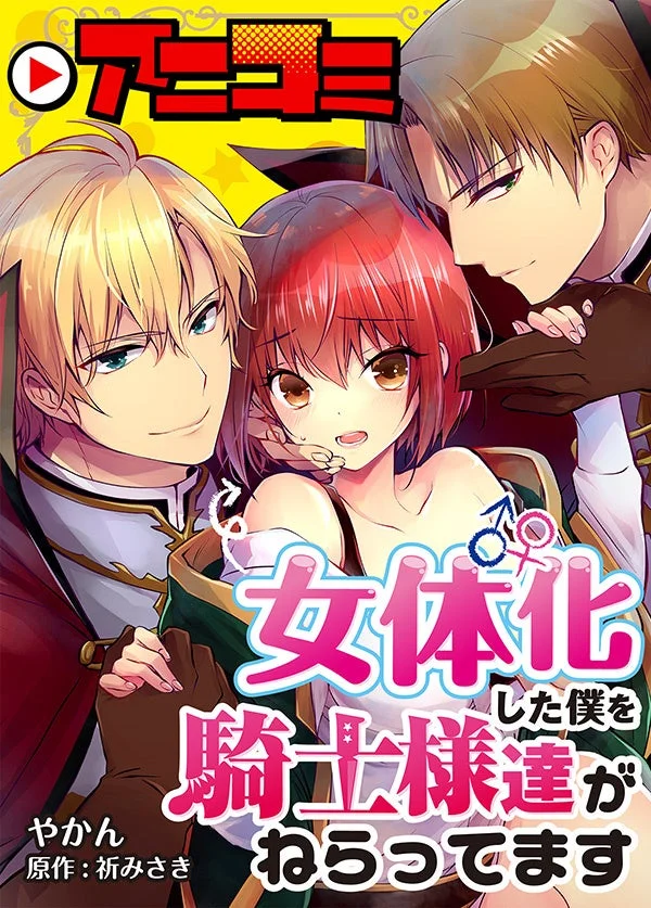 アニコミ「女体化した僕を騎士様達がねらってます」原作