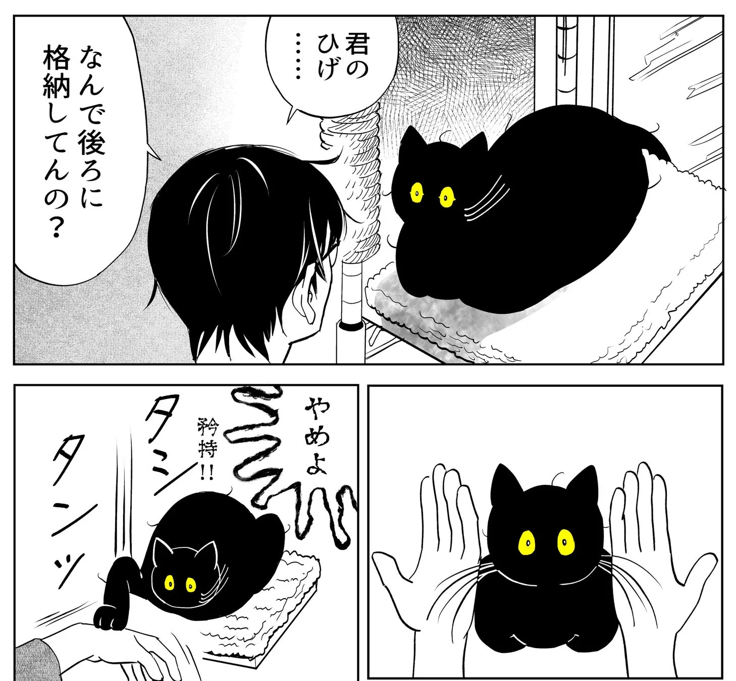 うちの猫は様子がおかしい。