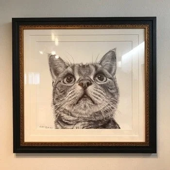 額縁入りの猫のポートレート