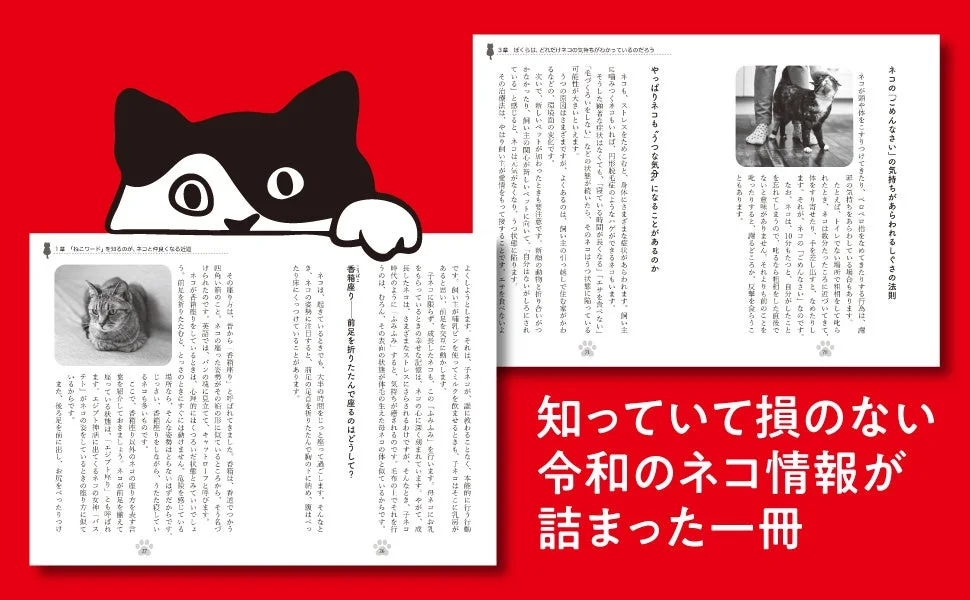 書籍内容の一部