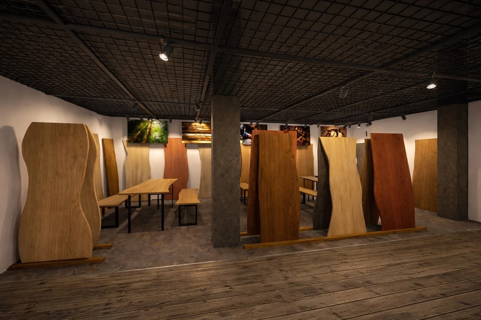 木製スラブや一枚板の展示