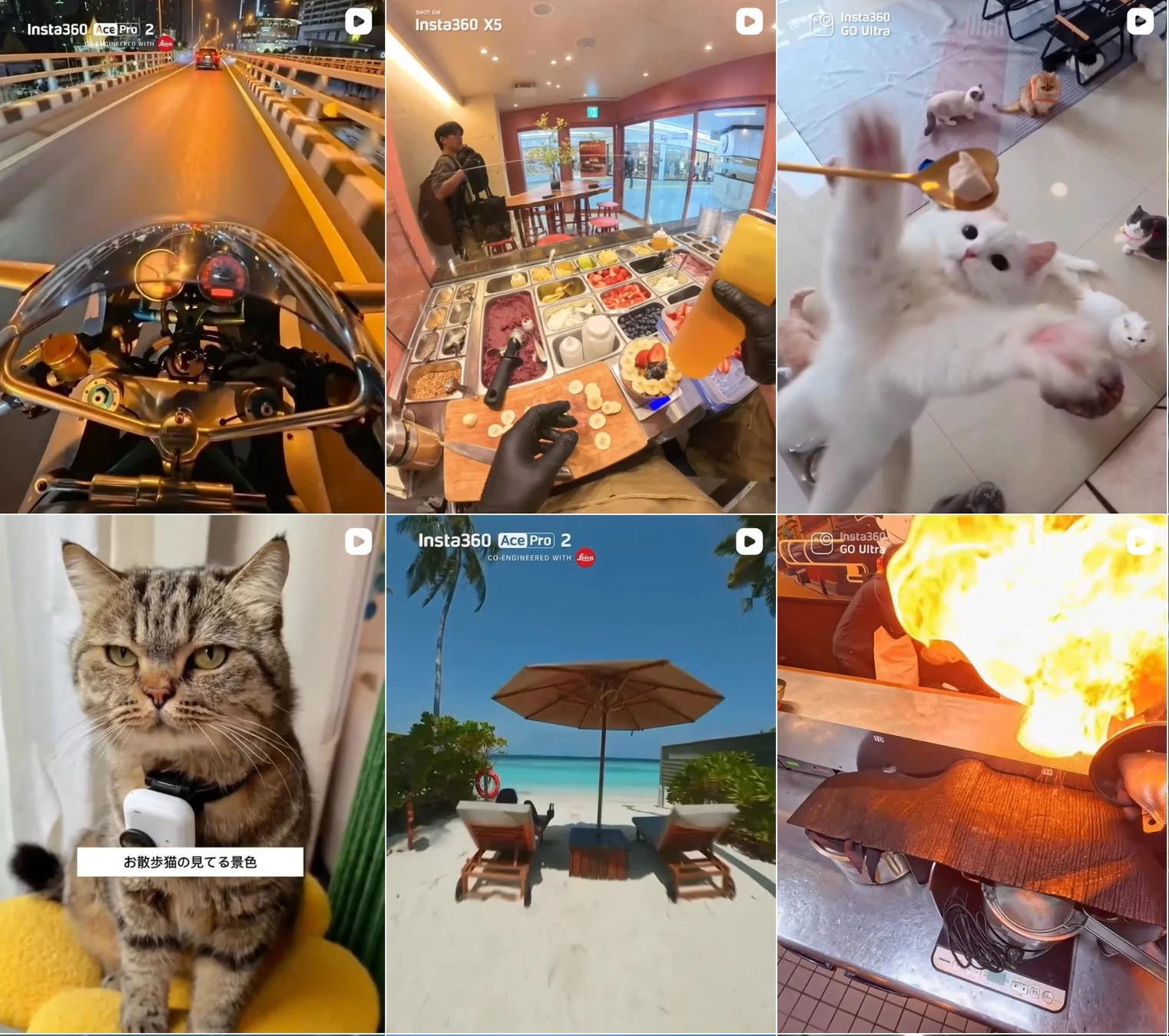 Insta360で撮影された多様なシーン