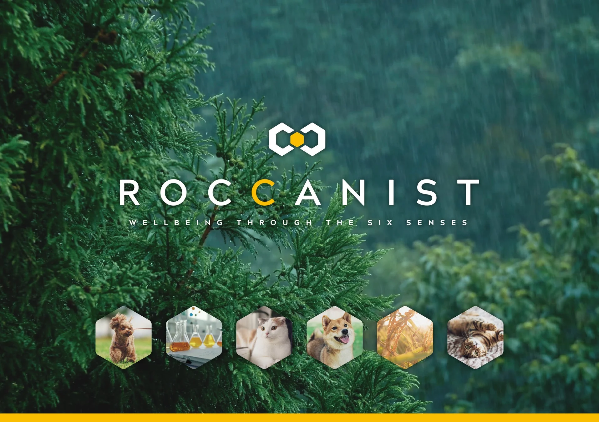 ROCCANISTブランドロゴとスローガン