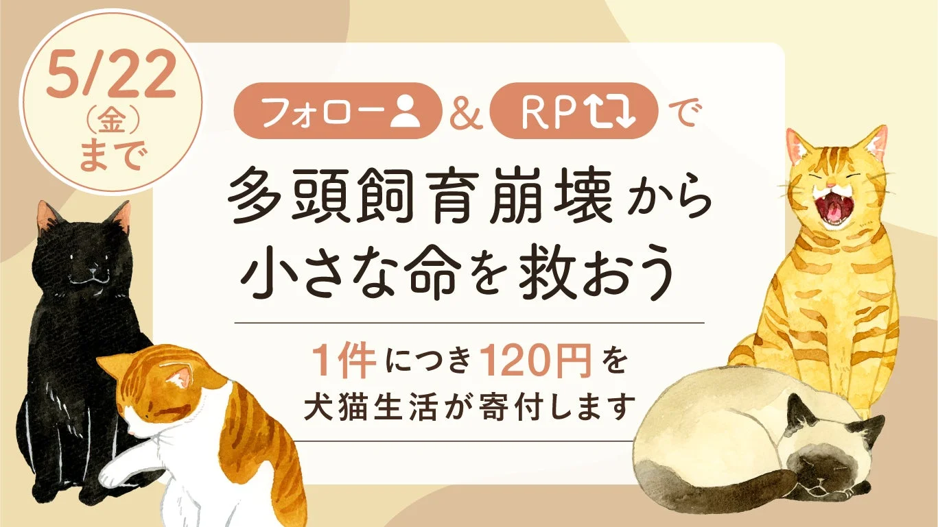 SNSキャンペーン告知画像