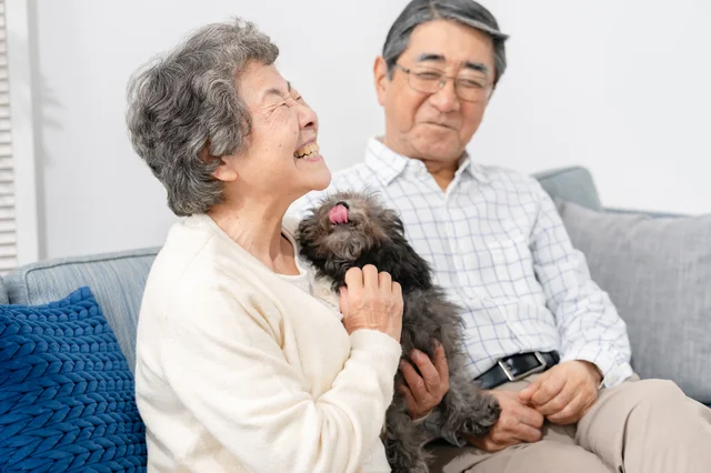 ソファで愛犬と触れ合う高齢夫婦の姿