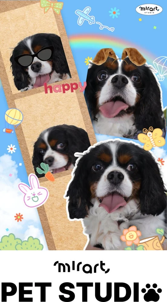 複数のキャバリアキングチャールズスパニエルが様々な表情を見せる可愛らしいコラージュ写真。サングラスや耳、ニンジンなどの装飾と、虹や雲が描かれた明るい背景が特徴のペットスタジオの広告。