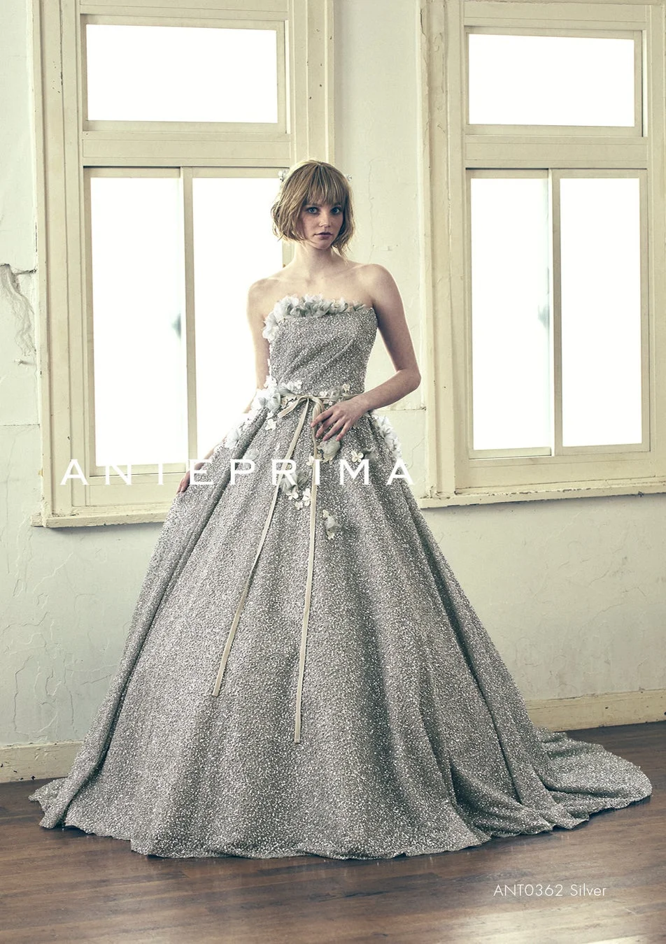 ANT0362 SILドレス全体