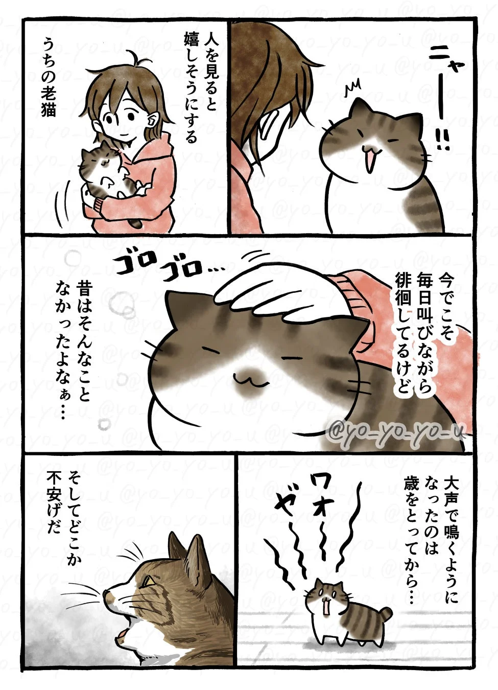 猫が大声で鳴く理由