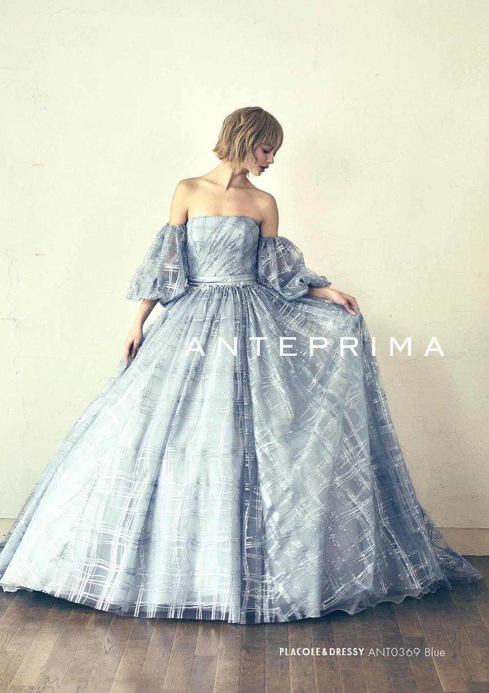 ANT0369 Buドレス全体