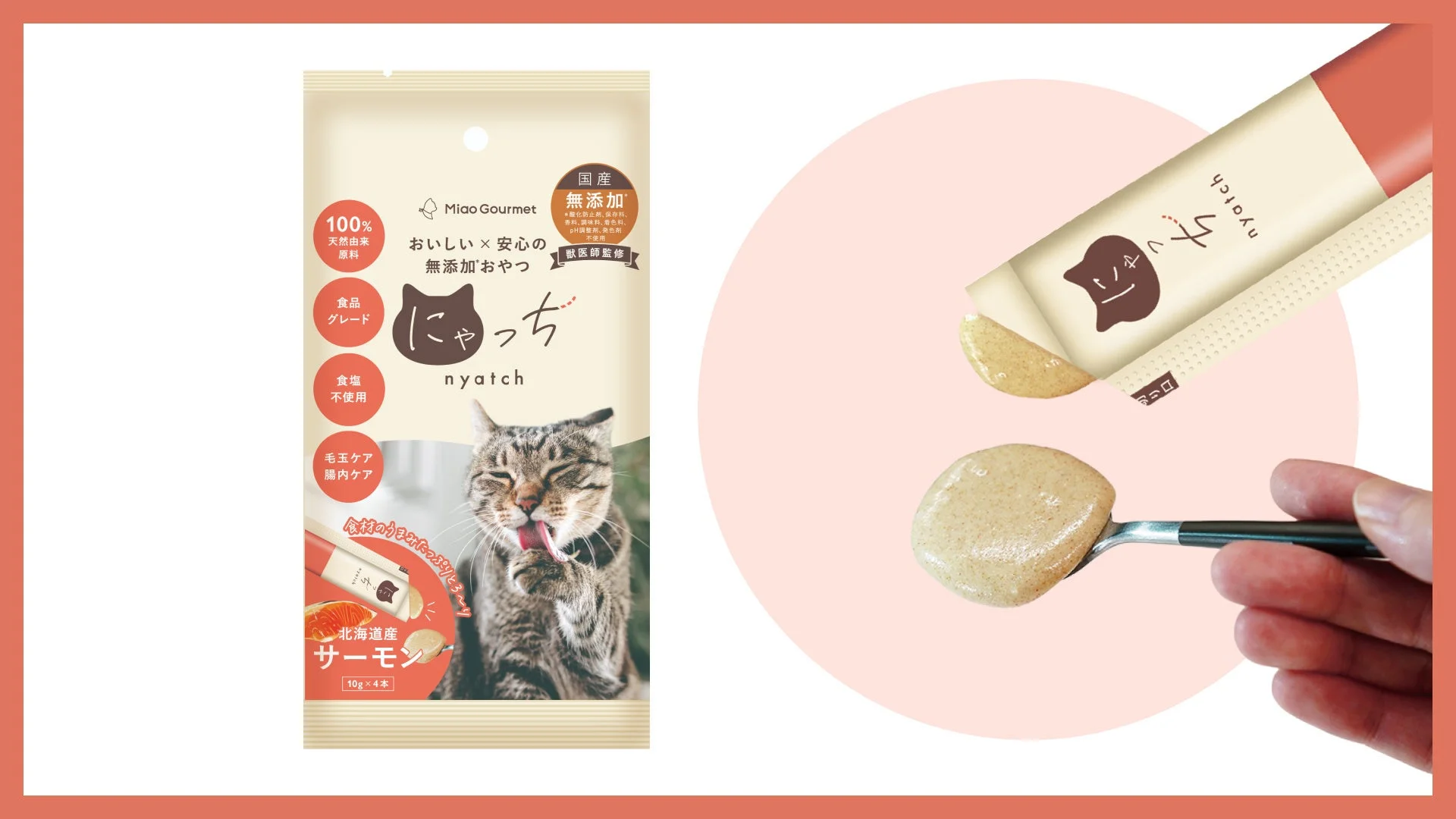 にゃっち サーモン味 パッケージ