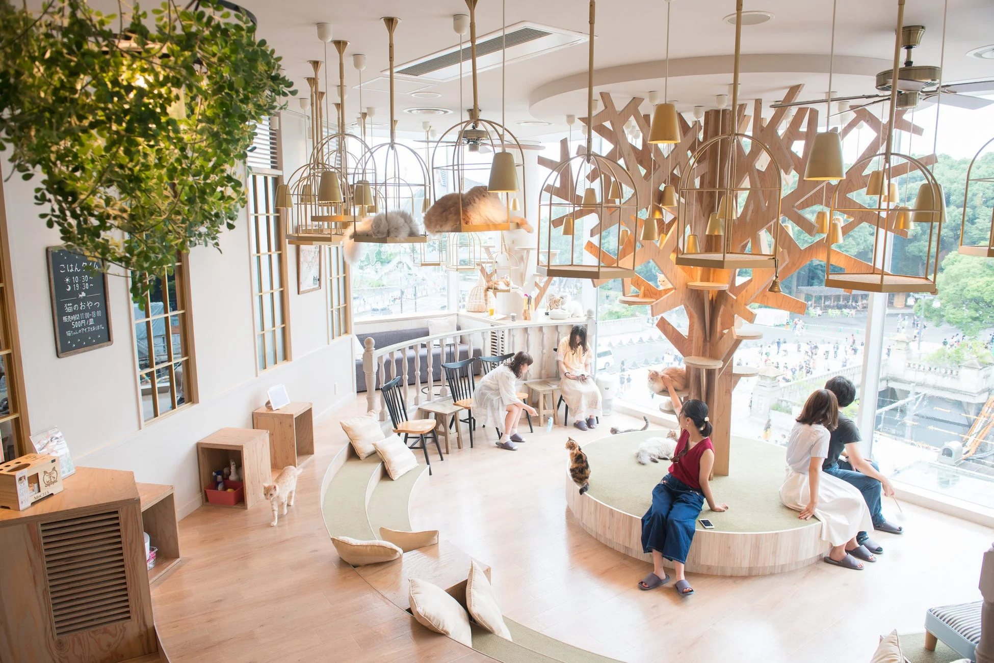 猫カフェMOCHAの店内