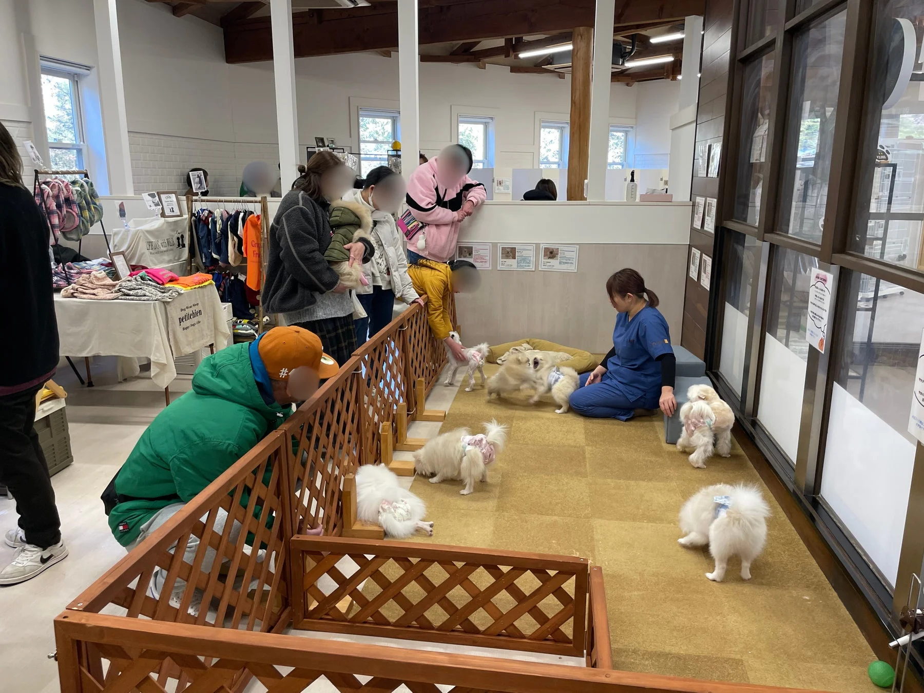 過去の譲渡会の様子1